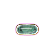 251