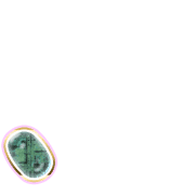 256