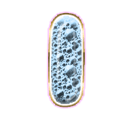 199