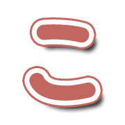 010