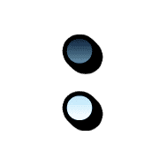 244