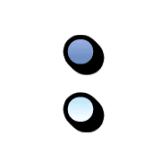 244
