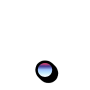 246