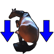 024