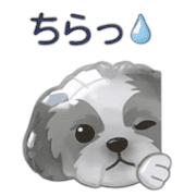 006
