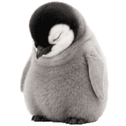 019
