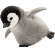 020