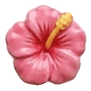 036
