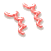 035