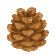 017