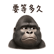 006
