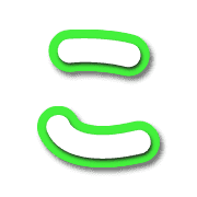 010