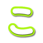 010