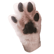suehirogari รูปที่ 8