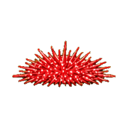 016