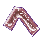 029