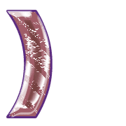 235
