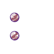 244