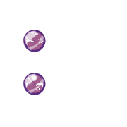244
