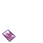 256