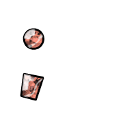 243