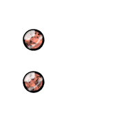244