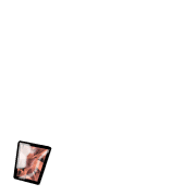 245