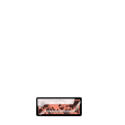 250