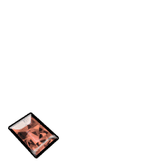256