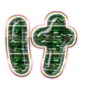 009