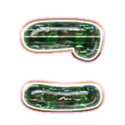 010