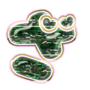 061