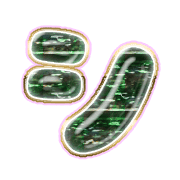 092