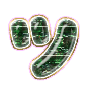 098