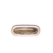 161