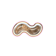 224