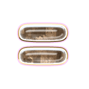 239