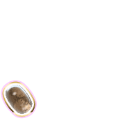 256