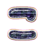 010