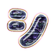 092