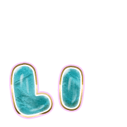 048