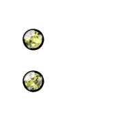244