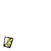 245