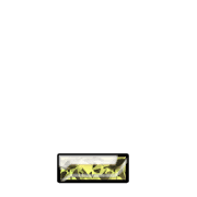 250