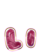 048