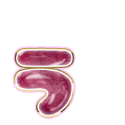 049