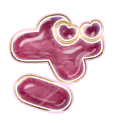 061