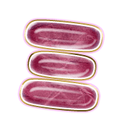 112