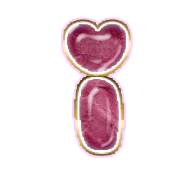 196