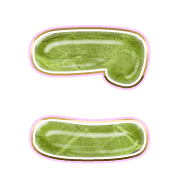 010